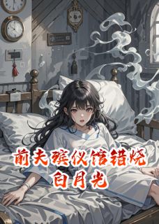 前夫殡仪馆错烧白月光小说百度云完整章节列表免费阅读