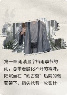 阴时录(新书)小说_陆沉影子叶棠阅读