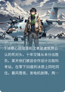 抖音爆款小说你比北极光难懂陆凛沈聿免费txt全文阅读