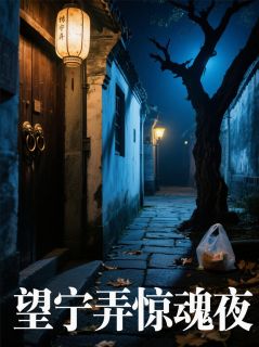 望宁弄惊魂夜许知夏沈雨-小说未删减阅读