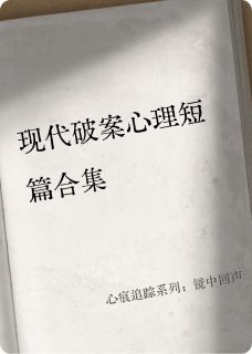 心痕追踪系列:镜中回声主角是林曼张诚陈默小说百度云全文完整版阅读