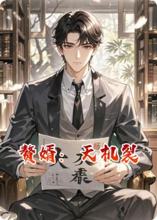 晴雲先生写的小说赘婿:天机裂宁毅沈炼全文阅读