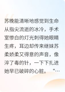精彩小说苏晚柳玉陆景渊烬火燃全文目录畅读