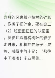全网首发完整小说未完的旅程主角苏念陈阳在线阅读-英驰看书网