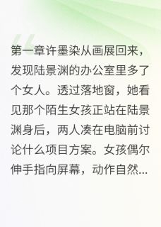 许墨染陆景渊程雨菲结局是什么 许墨染陆景渊程雨菲免费阅读全文-英驰看书网