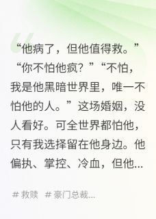 良心推荐疯子追光小说试读