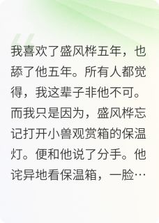 舔了男友五年,我选择断崖式分手小说最新章节-主角盛风桦桂修远周周全文免费阅读