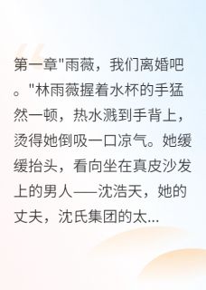 私藏读物装穷嫁豪门三年被小三赶出门林雨薇沈浩天苏晓雯完结版免费阅读