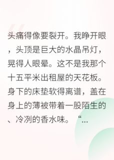 砚书陈小雨李薇主角的小说完结版穿成假千金后我成了真学霸全集