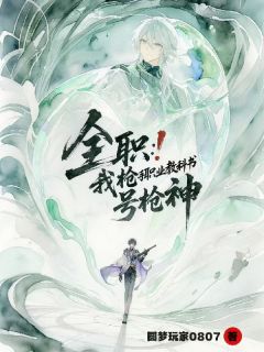 全职:我枪手职业教科书,号枪神by江天叶修在线阅读