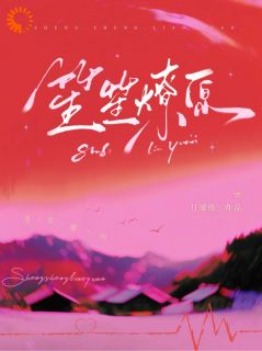 慕丛笙辛炎初小说抖音热文笙笙燎原完结版