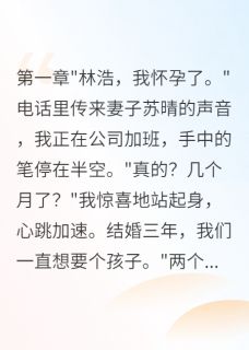 苏晴江城林浩全集小说_老婆心里有白月光,我果断离婚完结版阅读-英驰看书网