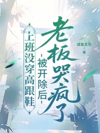 上班没穿高跟鞋,被开除后老板哭疯了(许月月何家齐苏逸晨)最新章节试读