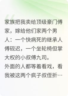 傅九司傅砚迟傅晚蓉踏笔无痕小说全章节最新阅读