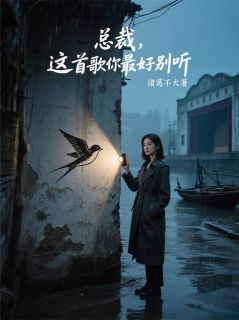 总裁,这首歌你最好别听小说在线阅读,主角许弋燕子赵柏精彩段落最新篇