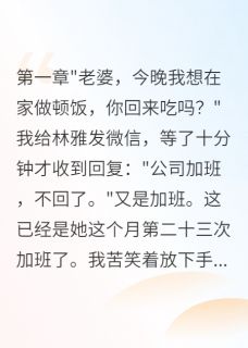 妻子瞒着我再婚三年全集小说_林雅赵文轩完结版阅读-英驰看书网