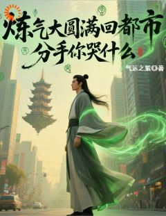 炼气大圆满回都市,分手你哭什么免费小说作者气运之紫全文阅读
