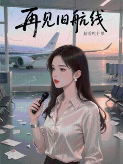 再见旧航线小说在线阅读,主角秦婉如贺景川苏曼妮陆致远精彩段落最新篇-英驰看书网