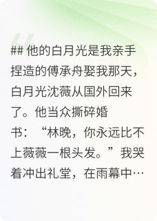 他的白月光是我亲手捏造的(新书)大结局在线阅读