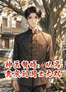 小说推荐神医赘婿:从窝囊废到国士无双完结版全章节阅读-英驰看书网