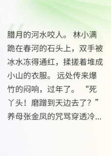 冰河暖阳(小满陈志强张金凤)最新章节