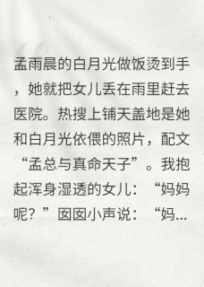 白月光烫伤后,妻子弃女在雨夜章节全目录 囡囡孟雨晨全文免费阅读-英驰看书网