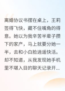 离婚前夜，我掏空了所有家产(新书)大结局在线阅读-英驰看书网