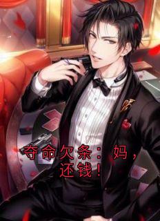 林婉林辉小说抖音热文夺命欠条：妈，还钱！完结版