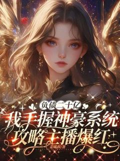 姜意江野小说负债二十亿,我手握神豪系统攻略主播爆红全文阅读