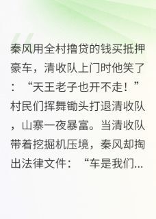 抵押车?拿来吧你!小说秦风秦家寨免费阅读-英驰看书网