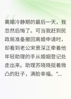 [抖音]小说宋景深陆慕白苏晓晓前夫为挽回我让小三打掉五月孩子-英驰看书网