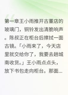 王小雨林婉儿周美玉是哪部小说的主角 古董镜子里住着前朝怨女全文无弹窗
