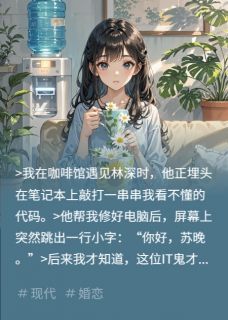 他写的爱，是囚禁我的程序苏晚林深大结局在线阅读-英驰看书网