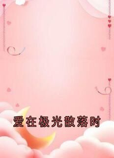 抖音爆款小说爱在极光散落时许宏毅于曼文免费txt全文阅读-英驰看书网