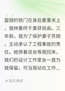 我入狱三年她却怀了仇人的孩子在线全文阅读-主人公苏婉陈霆林墨小说