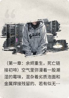 高质量小说代码未亡,今夜向您发送死亡链接在线试读