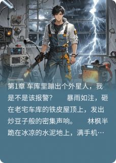 星际黑科技：开局一间车库造神明(林枫苏轻语)全文章节在线阅读-英驰看书网