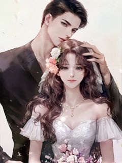 (抖音小说)许南枫江茹梦江晨小说全文阅读免费