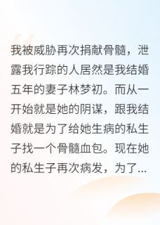 林梦初张段升沈晚依是哪部小说的主角 林梦初张段升沈晚依全文阅读