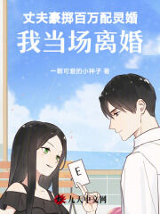 木千的小说丈夫豪掷百万配灵婚,我当场离婚主角是安安沈川沈越