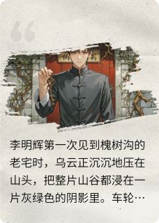 槐树沟老宅小说在线阅读,主角李明辉婉清精彩段落最新篇