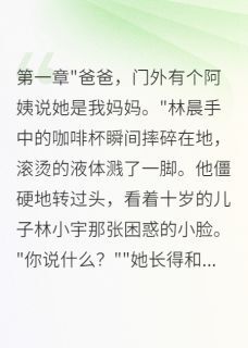 苏婉林晨林小宇妻子消失十年带着超能力回归了全文(苏婉林晨林小宇)章节免费阅读