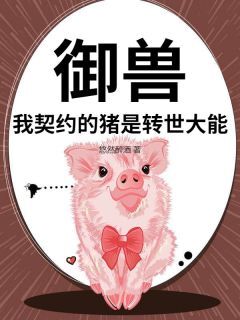 百度贴吧小说御兽：我契约的猪是转世大能，主角苏依依云凡全文免费