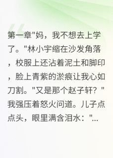 儿子被霸凌后我成了网红赵子轩小宇by青莲美人免费看-英驰看书网