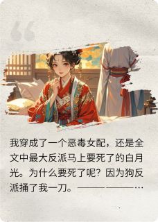 谢昭辞楚岚全文最新章节正版小说免费阅读