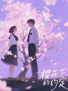 正版小说樱花下的约定：沉晚苏晚陆沉在线免费阅读-英驰看书网