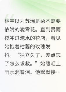 好书推荐寻觅依靠的心灵林宇苏瑶全文在线阅读-英驰看书网