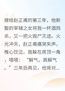 王妃假死遁逃后,王爷狂追妻精彩章节-王妃假死遁逃后,王爷狂追妻免费阅读全文