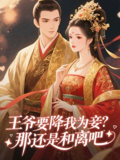 萧寒苏婉儿小说王爷要降我为妾?那还是和离吧全文阅读