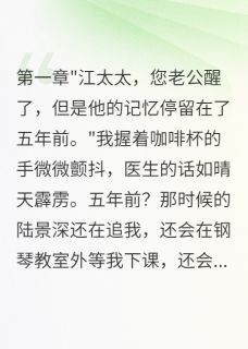 陆景深诗雨苏晴小说<失忆老公不记得背叛我三年>全文在线阅读-英驰看书网
